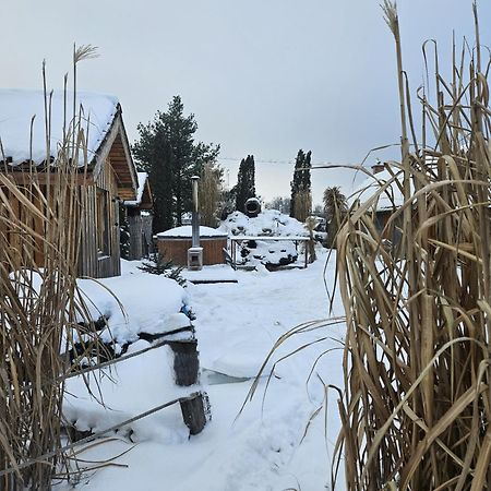 Oaza Mazurska - Willa Lasek Piecki  Exteriör bild