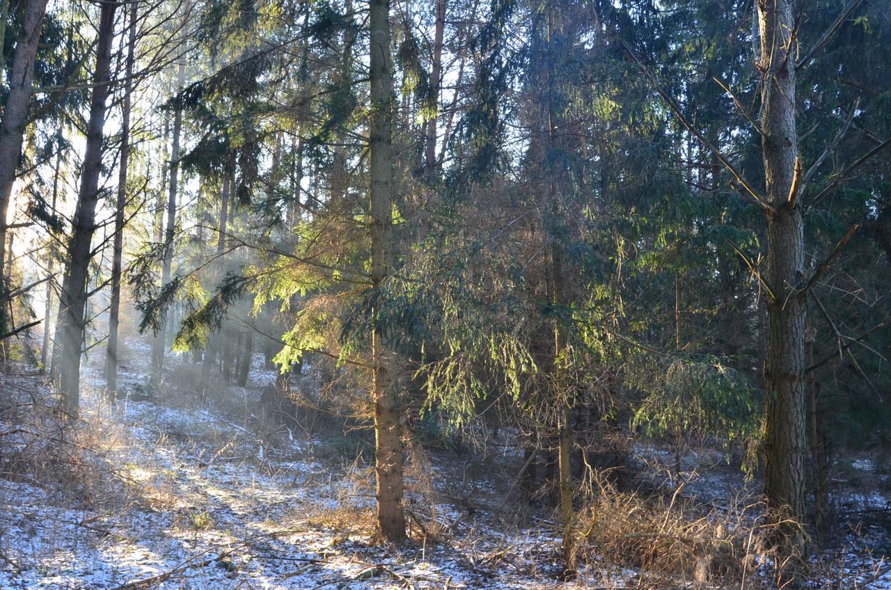Oaza Mazurska - Willa Lasek Piecki  Exteriör bild